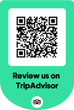 Review TripAdvisor