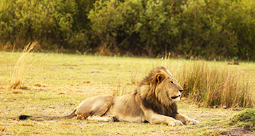 caprivi3